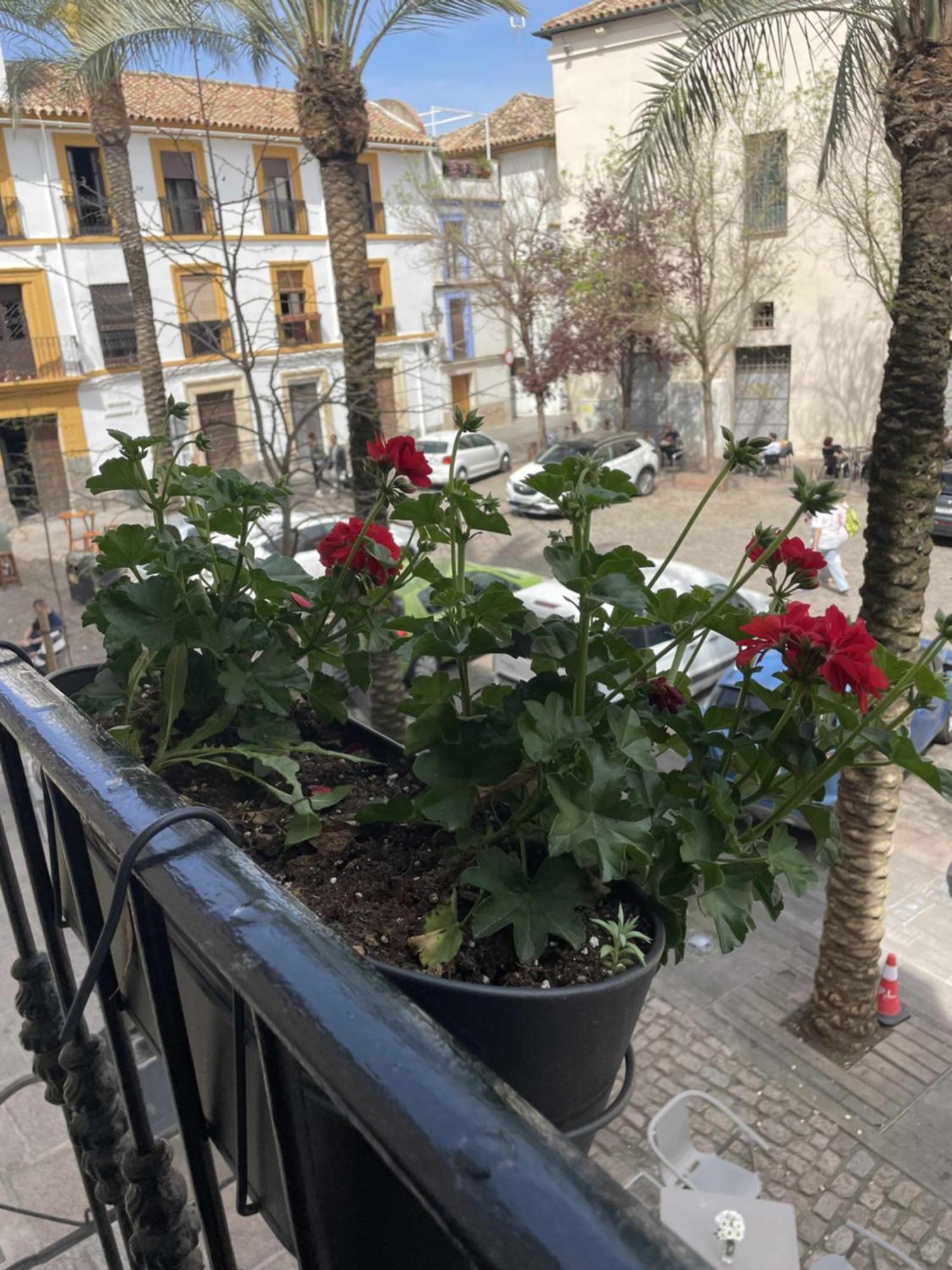 Apartamento Centrico Corredera Кордова Экстерьер фото